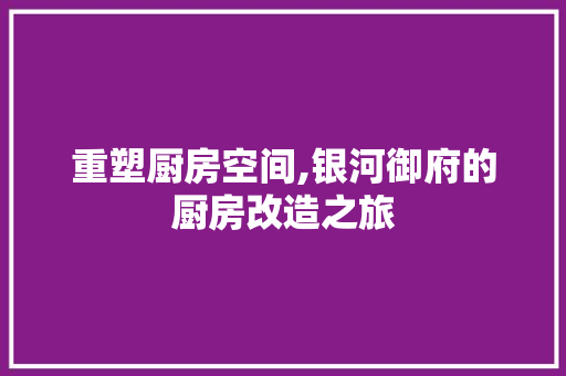 重塑厨房空间,银河御府的厨房改造之旅