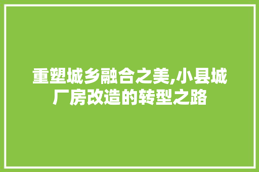 重塑城乡融合之美,小县城厂房改造的转型之路 汽车维修