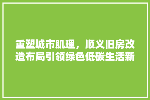 重塑城市肌理，顺义旧房改造布局引领绿色低碳生活新风尚 厨房维修
