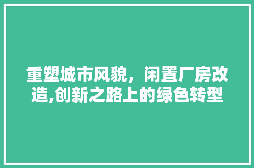 重塑城市风貌，闲置厂房改造,创新之路上的绿色转型 墙体维修