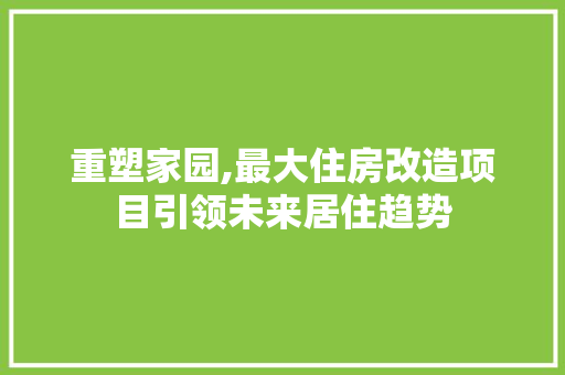 重塑家园,最大住房改造项目引领未来居住趋势 汽车维修