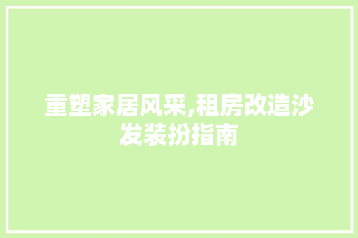 重塑家居风采,租房改造沙发装扮指南