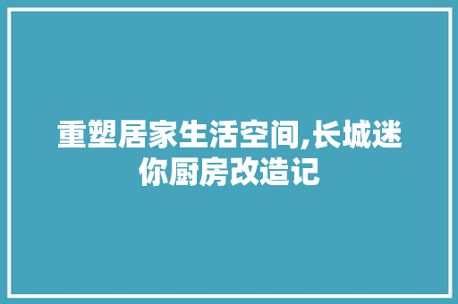 重塑居家生活空间,长城迷你厨房改造记