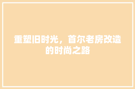 重塑旧时光，首尔老房改造的时尚之路
