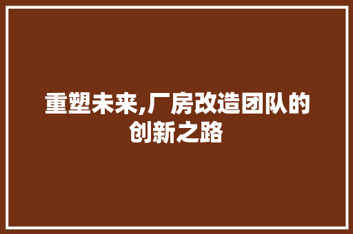 重塑未来,厂房改造团队的创新之路 家电维修