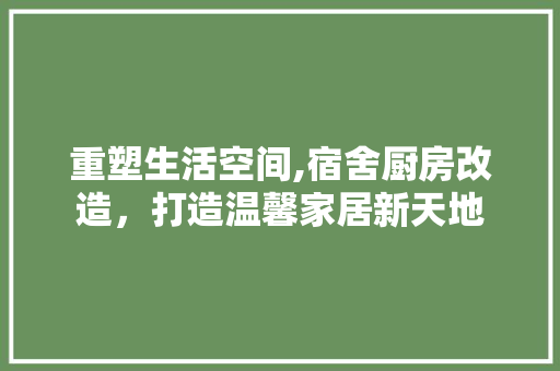 重塑生活空间,宿舍厨房改造，打造温馨家居新天地
