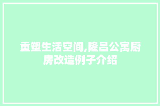 重塑生活空间,隆昌公寓厨房改造例子介绍