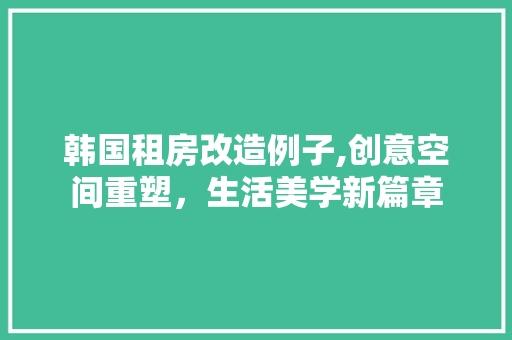 韩国租房改造例子,创意空间重塑，生活美学新篇章 综合便民
