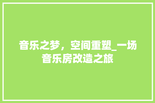 音乐之梦，空间重塑_一场音乐房改造之旅 厨房维修