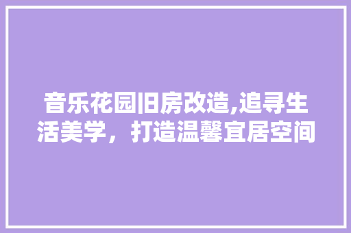 音乐花园旧房改造,追寻生活美学，打造温馨宜居空间 厨房维修