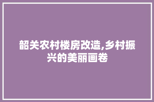 韶关农村楼房改造,乡村振兴的美丽画卷 汽车维修