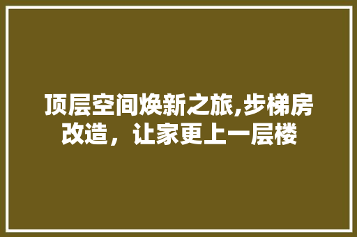 顶层空间焕新之旅,步梯房改造，让家更上一层楼 综合便民
