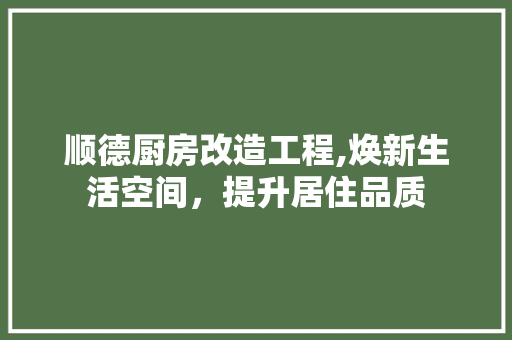 顺德厨房改造工程,焕新生活空间，提升居住品质
