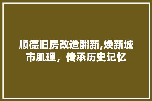 顺德旧房改造翻新,焕新城市肌理，传承历史记忆 家电维修