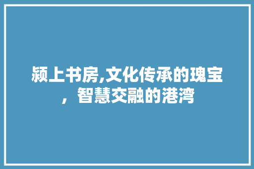 颍上书房,文化传承的瑰宝，智慧交融的港湾 汽车维修