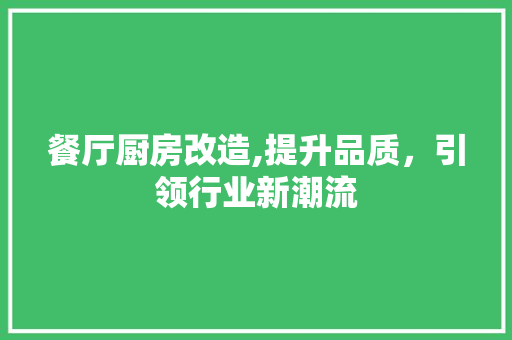 餐厅厨房改造,提升品质，引领行业新潮流 厨房维修