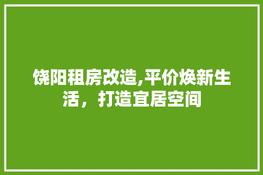 饶阳租房改造,平价焕新生活，打造宜居空间 汽车维修