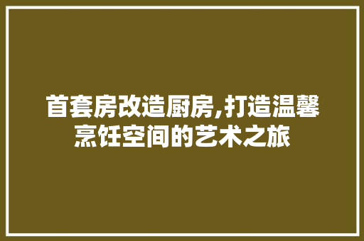首套房改造厨房,打造温馨烹饪空间的艺术之旅 汽车维修