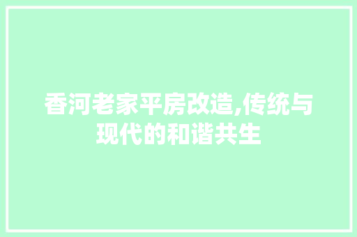 香河老家平房改造,传统与现代的和谐共生 汽车维修