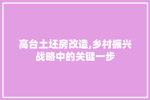高台土坯房改造,乡村振兴战略中的关键一步 墙体维修