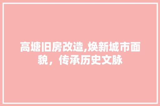 高塘旧房改造,焕新城市面貌，传承历史文脉 墙体维修