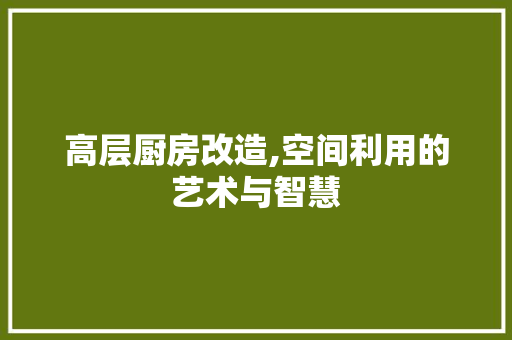 高层厨房改造,空间利用的艺术与智慧 汽车维修