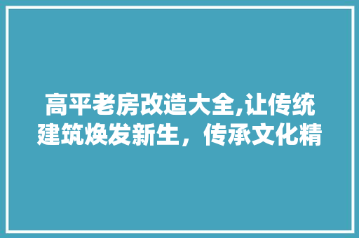 高平老房改造大全,让传统建筑焕发新生，传承文化精髓 家电维修