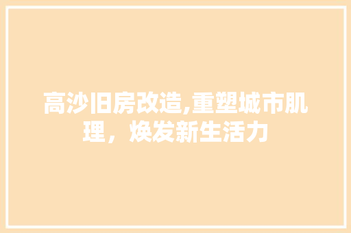 高沙旧房改造,重塑城市肌理，焕发新生活力 汽车维修