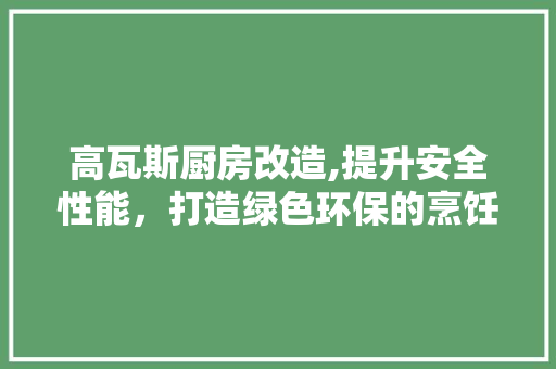 高瓦斯厨房改造,提升安全性能，打造绿色环保的烹饪环境 综合便民