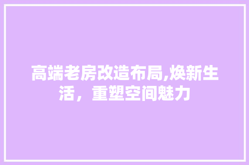 高端老房改造布局,焕新生活，重塑空间魅力 家电维修