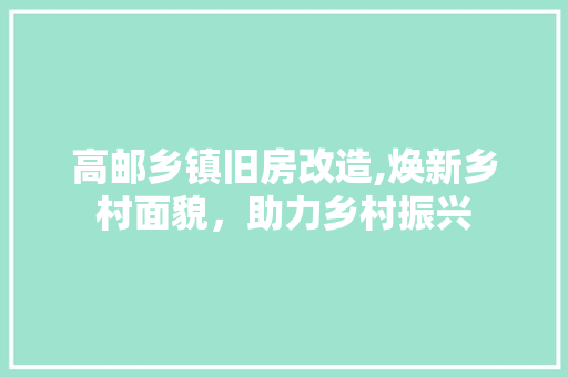 高邮乡镇旧房改造,焕新乡村面貌，助力乡村振兴