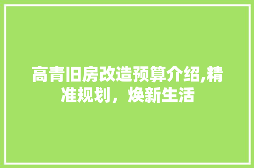 高青旧房改造预算介绍,精准规划，焕新生活