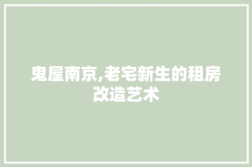 鬼屋南京,老宅新生的租房改造艺术 厨房维修