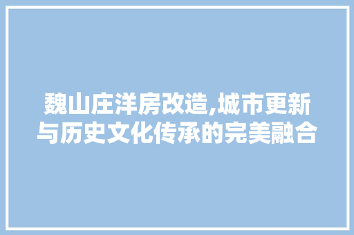 魏山庄洋房改造,城市更新与历史文化传承的完美融合 厨房维修