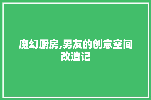 魔幻厨房,男友的创意空间改造记 厨房维修