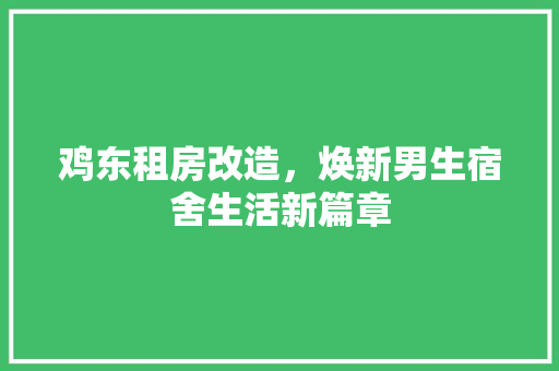 鸡东租房改造，焕新男生宿舍生活新篇章