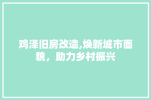 鸡泽旧房改造,焕新城市面貌，助力乡村振兴