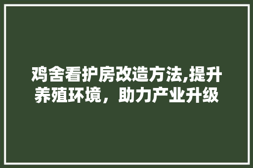 鸡舍看护房改造方法,提升养殖环境，助力产业升级 综合便民