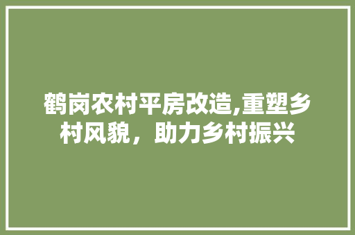 鹤岗农村平房改造,重塑乡村风貌，助力乡村振兴 厨房维修