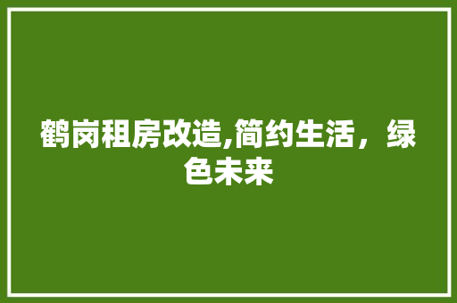 鹤岗租房改造,简约生活，绿色未来 家电维修