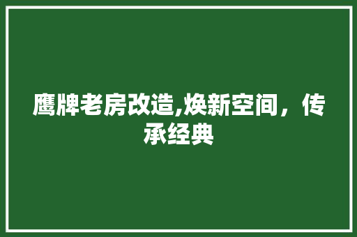 鹰牌老房改造,焕新空间，传承经典 墙体维修