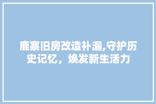 鹿寨旧房改造补漏,守护历史记忆，焕发新生活力 厨房维修