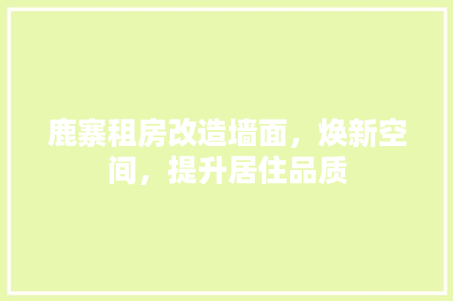鹿寨租房改造墙面，焕新空间，提升居住品质 家电维修