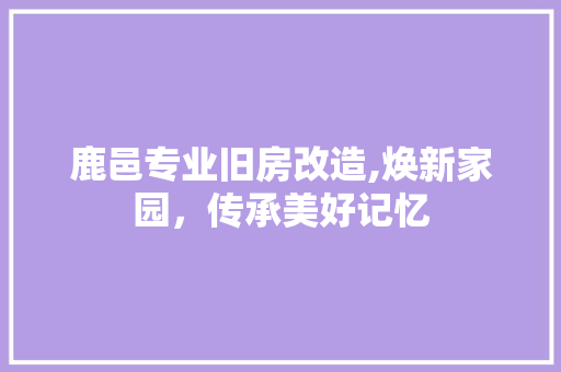 鹿邑专业旧房改造,焕新家园，传承美好记忆 墙体维修