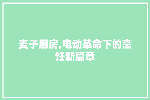 麦子厨房,电动革命下的烹饪新篇章 厨房维修