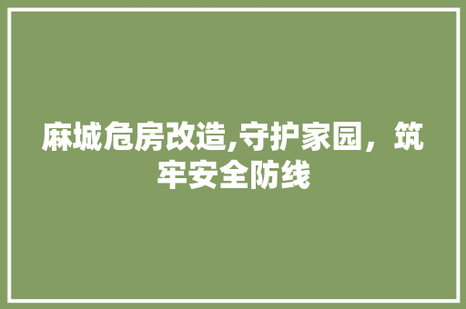 麻城危房改造,守护家园，筑牢安全防线 家电维修