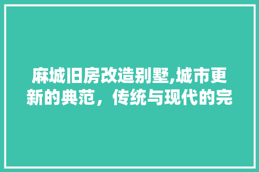 麻城旧房改造别墅,城市更新的典范，传统与现代的完美融合