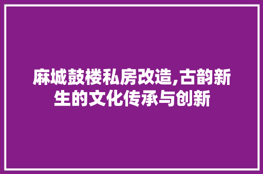 麻城鼓楼私房改造,古韵新生的文化传承与创新