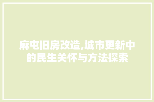 麻屯旧房改造,城市更新中的民生关怀与方法探索
