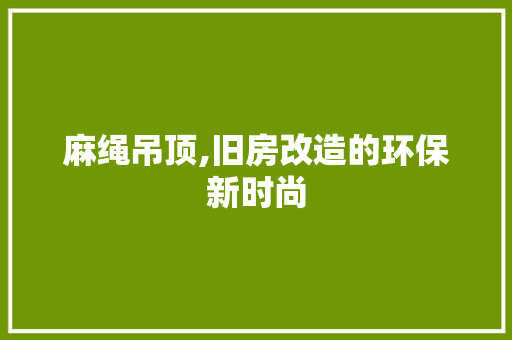 麻绳吊顶,旧房改造的环保新时尚